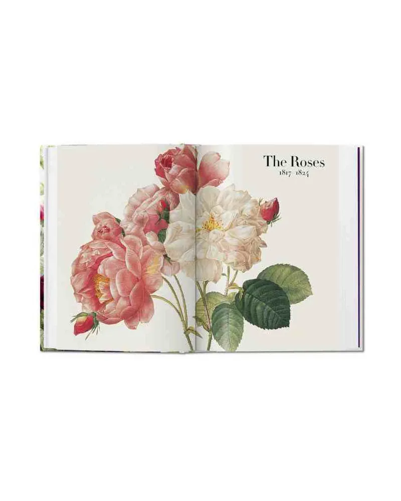 Livre Redouté The Book of Flowers 40th Edition - Taschen I Trentotto