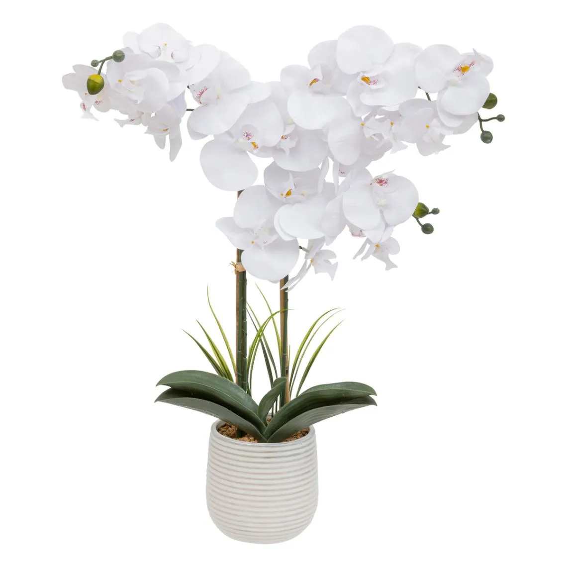 Orchidée artificielle Blanche 